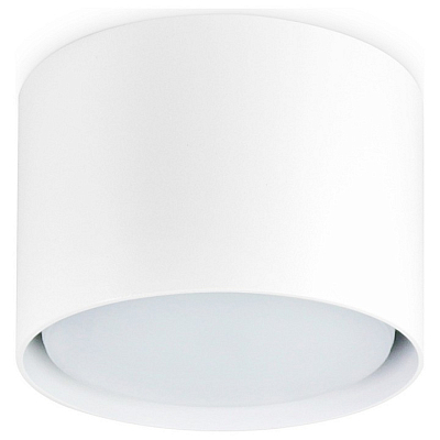 Накладной светильник Ambrella Light TN TN5301 400_400_2442349