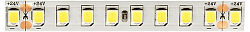 Лента светодиодная SWG PRO SWG2P160 SWG2P160-24-14.4-W 250_100_3108372