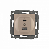 Механизм розетки 2хUSB type A и C Arlight SCT 049841 100_100_681362