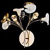 Бра Alfa-Light F2924 F2924-02 100_100_2311393