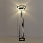 Торшер Lumion LEDIO 8370/30FL 250_100_3078458