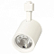Светильник на штанге Jazzway Ptr 0525 5010635