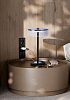 Настольная лампа декоративная Lumion Satiana 8203/1TL 100_100_1866495