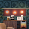 Накладной светильник Odeon Light Mondy 3899/7WW 100_100_1723870
