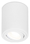Накладной светильник Ambrella Light TN TN225 250_100_Array