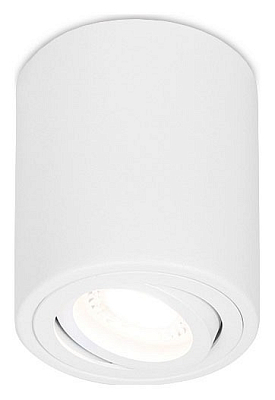 Накладной светильник Ambrella Light TN TN225 400_400_2442301