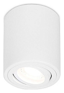 Накладной светильник Ambrella Light TN TN225 500_191_2442301