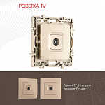 ТВ-розетка без рамки Arte Milano am-217 217.43-1.shampan 250_100_2167816