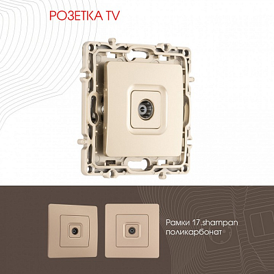 ТВ-розетка без рамки Arte Milano am-217 217.43-1.shampan 400_400_2167816