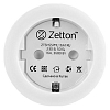 Розетка умная Zetton ZTSHSPS2S2 ZTSHSSPML16A1RU 100_100_2157104