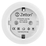 Розетка умная Zetton ZTSHSPS2S2 ZTSHSSPML16A1RU 250_100_2157104