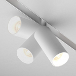 Светильник на штанге Maytoni Technical Focus LED TR032-2-5W4K-S-W 250_100_2811312