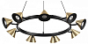 Подвесная люстра Lumion Lamina 8233/9 100_100_2429171