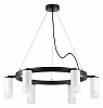 Подвесная люстра Lightstar Rullo LR0163661 100_100_1718114