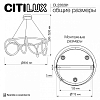 Подвесной светильник Citilux PYTHON CL220281 100_100_1695401