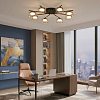 Потолочная люстра Citilux ESPACE CL243181 100_100_2877255