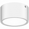 Накладной светильник Lightstar Zolla 380164 100_100_2448572