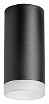 Накладной светильник Lightstar Rullo R648780 250_100_Array