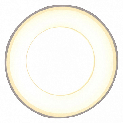 Накладной светильник Ambrella Light TN TN3411 400_400_2013656