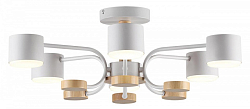 Люстра на штанге Lumion Rondo 8231/6C 250_100_1866662