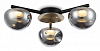 Потолочная люстра Ambrella Light LH LH12006 100_100_2431369