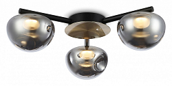 Потолочная люстра Ambrella Light LH LH12006 250_100_Array