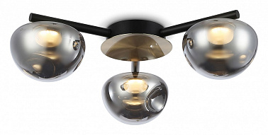 Потолочная люстра Ambrella Light LH LH12006 500_191_2431369