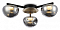 Потолочная люстра Ambrella Light LH LH12006
