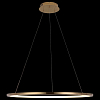 Подвесной светильник Loft it Ring 10014L 100_100_1845851