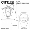 Светильник на штанге Citilux FORTS CLU10W 100_100_1695483