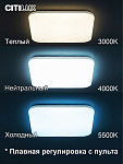 Накладной светильник Citilux Симпла CL714K900G 250_100_3148146