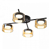Потолочная люстра Citilux ESPACE CL243141 100_100_2877244
