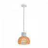 Подвесной светильник Lumion ECO 8367/1A 100_100_2833578