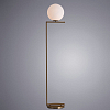 Торшер Arte Lamp Bolla-Unica A1921PN-1AB 100_100_3080210