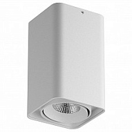 Накладной светильник Lightstar Monocco 212536 500_191_2232323