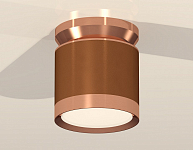 Накладной светильник Ambrella Light XS XS8117010 250_100_2012810
