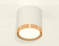 Накладной светильник Ambrella Light XS XS8141004 250_100_2012881