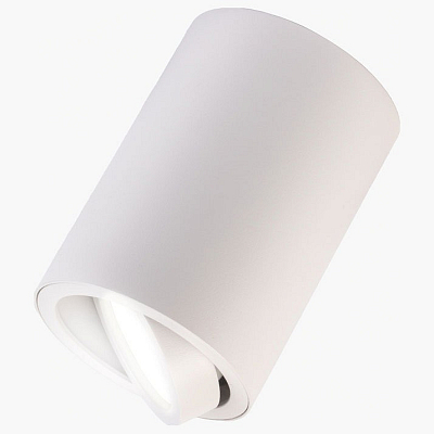 Накладной светильник LEDS POWER SPOT 009735 400_400_2202014