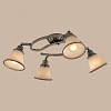 Спот Citilux Прованс CL511143 100_100_1684738