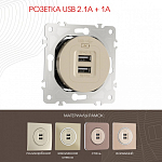 Розетка USB, без рамки Arte Milano am-202 202.46-1.shampan 250_100_2165997