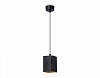 Подвесной светильник Ambrella Light TN TN5125 100_100_2019206