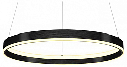 Подвесной светильник Lightstar Rotonda 736417 250_100_Array