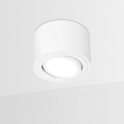 Накладной светильник Ambrella Light TN TN222 400_400_2001989