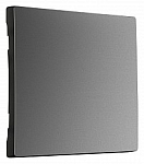 Клавиша для выключателя перекрестного Werkel графит матовый W1119064 250_100_Array