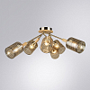Потолочная люстра Arte Lamp Maria A4536PL-6AB 100_100_1826317