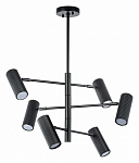 Люстра на штанге Lightstar Roma 718267 250_100_Array