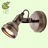 Спот Lussole GRLSP-9959 100_100_1733853