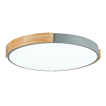 SLE201372-01 Светильник потолочный Серый, Светлое дерево/Белый LED 1*40W 3000K/4000K/6000K ДЕЛИА 250_100_2944779