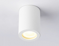 Накладной светильник Ambrella Light TN TN22797 250_100_2019142