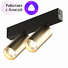 Светильник на штанге Denkirs Smart DK8012-BG 100_100_1913712